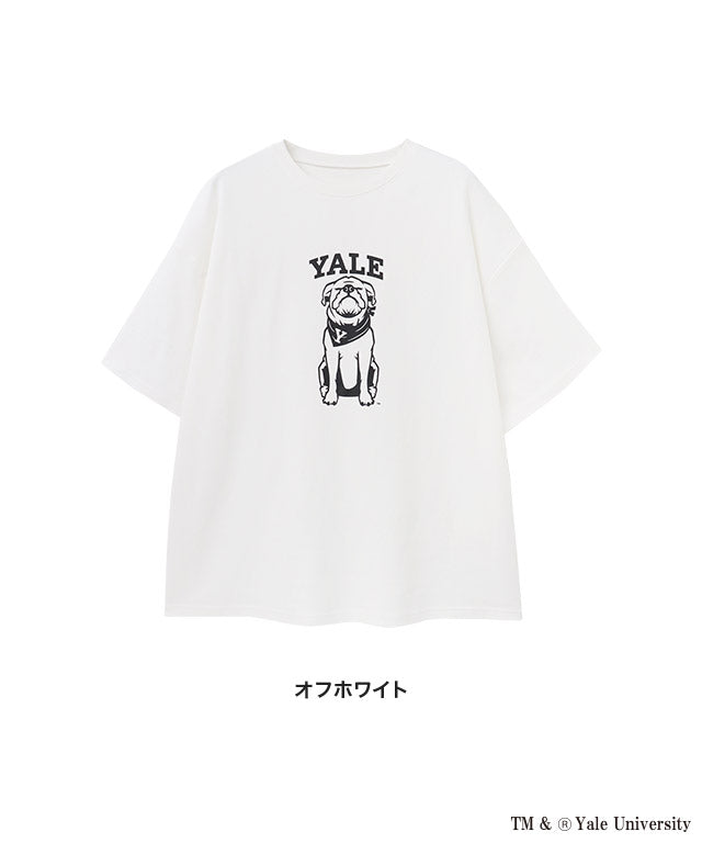 ラス RASW 別注YALEドッグオーバーTシャツ （オフホワイト） オフホワイト