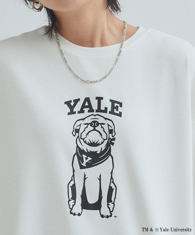 ラス RASW 別注YALEドッグオーバーTシャツ （オフホワイト） オフホワイト