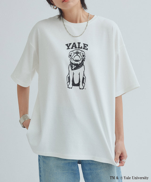 ラス RASW 別注YALEドッグオーバーTシャツ （オフホワイト） オフホワイト