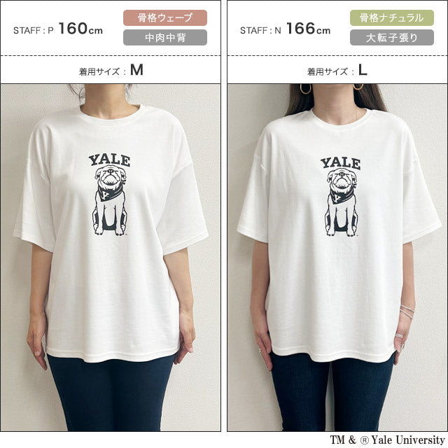 ラス RASW 別注YALEドッグオーバーTシャツ （オフホワイト） オフホワイト