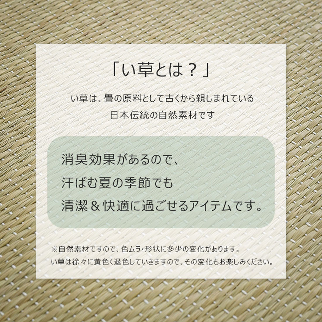 リアルスタイル REAL STYLE スリッパ 室内 夏 メンズ レディース おしゃれ 畳 い草 タオル地 滑り止め 涼しい 蒸れない 涼しい 前開き ルームスリッパ ルーシューズ （ブロンズイエロー） ブロンズイエロー