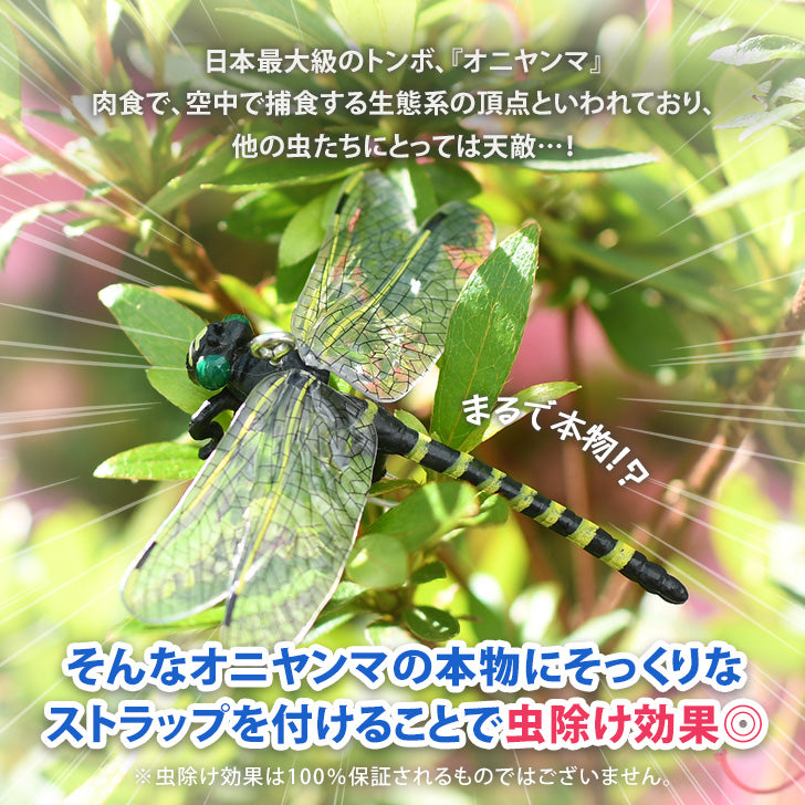 REAL STYLE Onyanma 驅蟲劑驅蟲劑 6.5 公分高爾夫害蟲防治戶外釣魚登山露營鑰匙扣帶安全別針兒童蜻蜓
