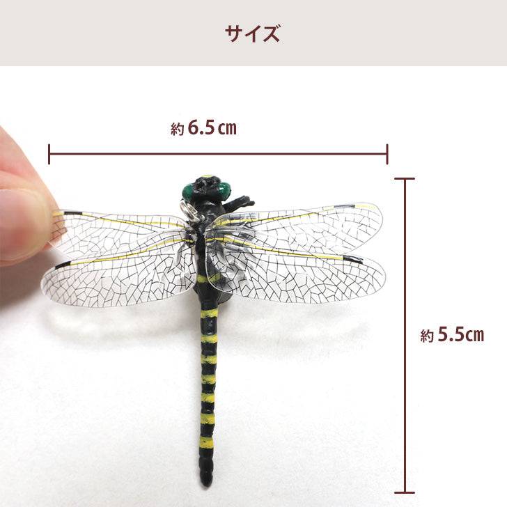 REAL STYLE Onyanma 驅蟲劑驅蟲劑 6.5 公分高爾夫害蟲防治戶外釣魚登山露營鑰匙扣帶安全別針兒童蜻蜓
