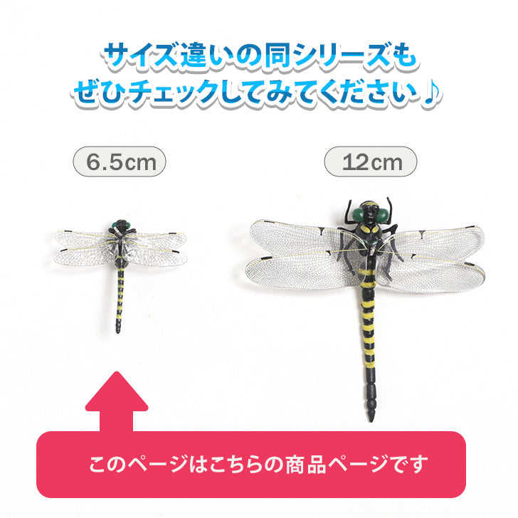 REAL STYLE Onyanma 驅蟲劑驅蟲劑 6.5 公分高爾夫害蟲防治戶外釣魚登山露營鑰匙扣帶安全別針兒童蜻蜓