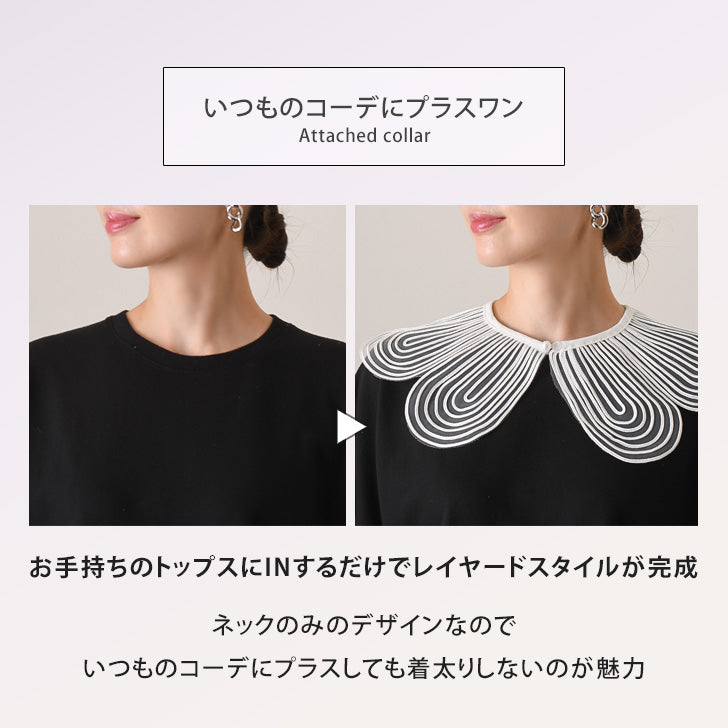 Real Style Detachable Collar, Collar Only, Blouse, Shirt, Women's, Sheer, Lace, Flower, Plain Detachable Collar, Natural, Layered Look, Spring/Summer, Autumn/Winter, Cute Detachable Collar, Elegant, Retro, Stylish