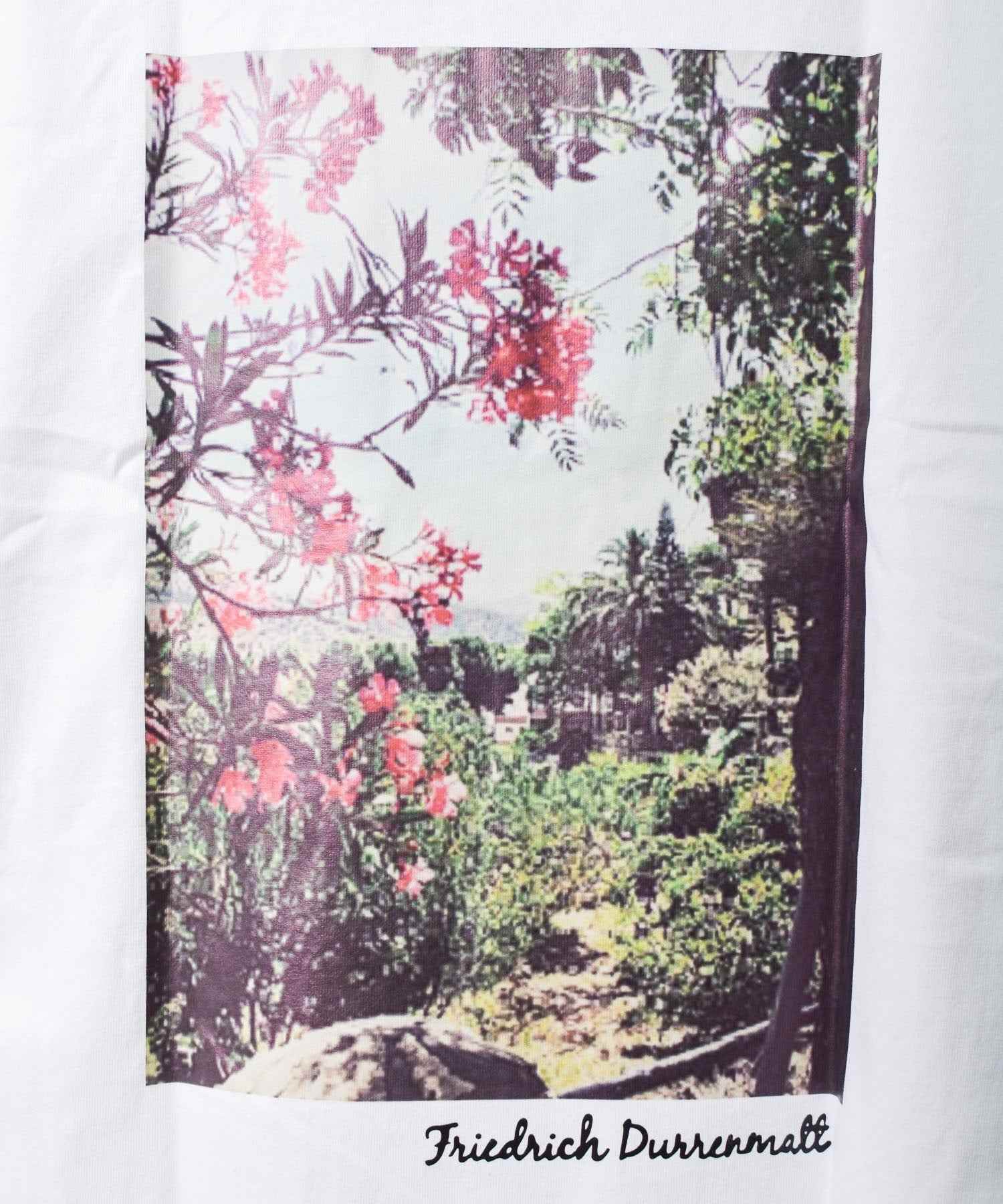 エーアールエムジー ar/mg 【Bl】【PC19011】【pledge】ビッグシルエット バックプリントTシャツ （ホワイト系その他6） ホワイト系その他6
