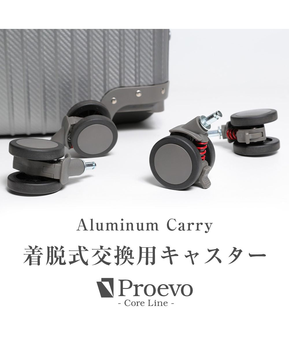 タビバコ 旅箱 Proevo 交換用タイヤ4個セット プロエボ 交換用 静音キャスター サスペンションキャスター スーツケース キャリーケース キャリーバッグ,交換用キャスター(アルミ-Sサイズ) / ガンメタリック