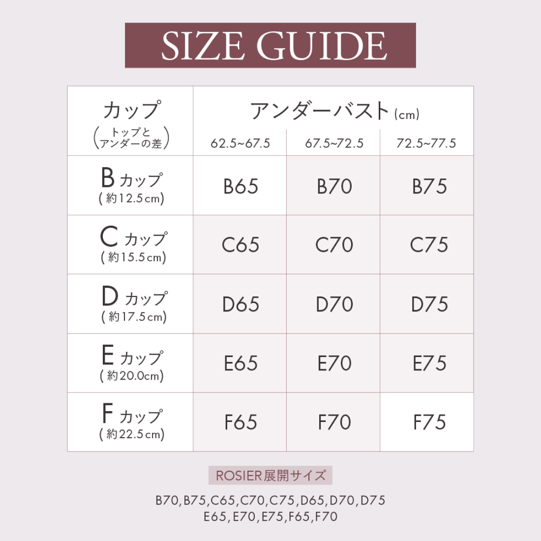 ロジア バイ ハーリップトゥ ROSIER by Her lip to Everyday Essential Bra （black） black