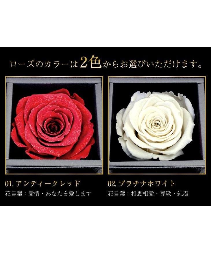 シアーズ Sears シアーズ Sears ジュエリーケース プリザーブドフラワー 薔薇 ダイヤモンドローズ