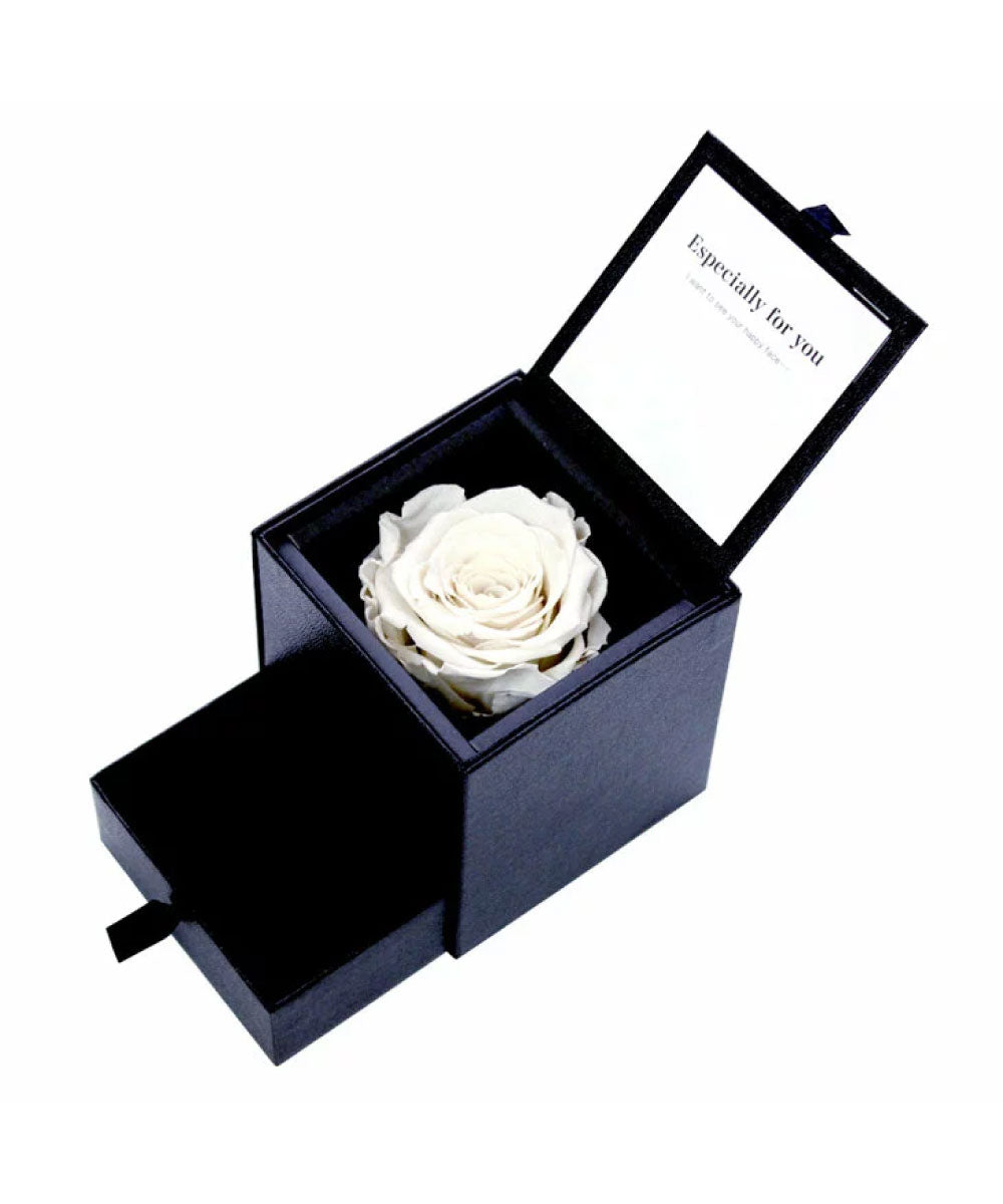 Sears Sears Diamond Earrings 1 Piece Pt900 Preserved Flower Rose Box Set