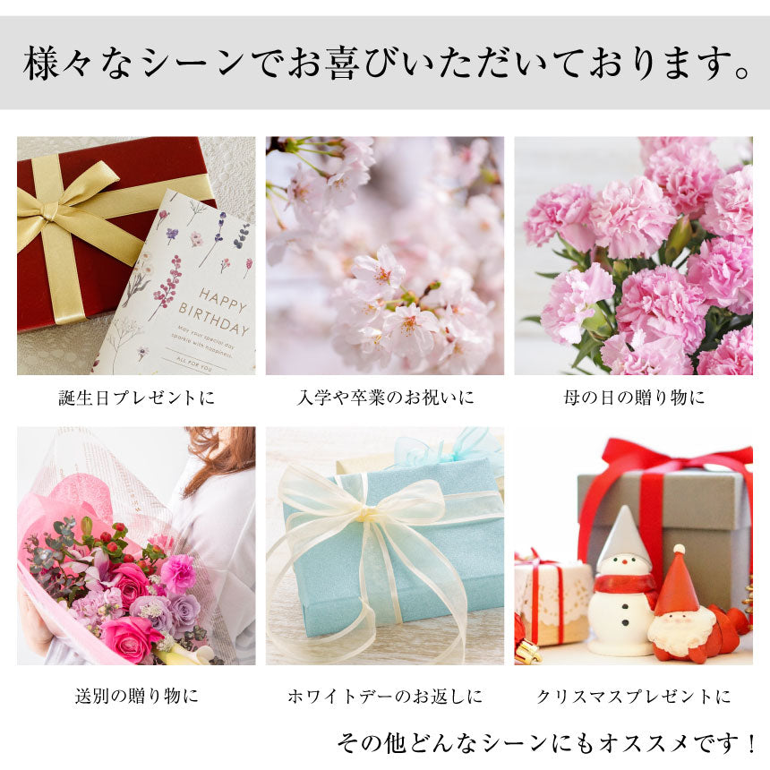シアーズ Sears テディベア：ホワイト/7月ルビー （テディベア：ホワイト/7月ルビー） テディベア：ホワイト/7月ルビー