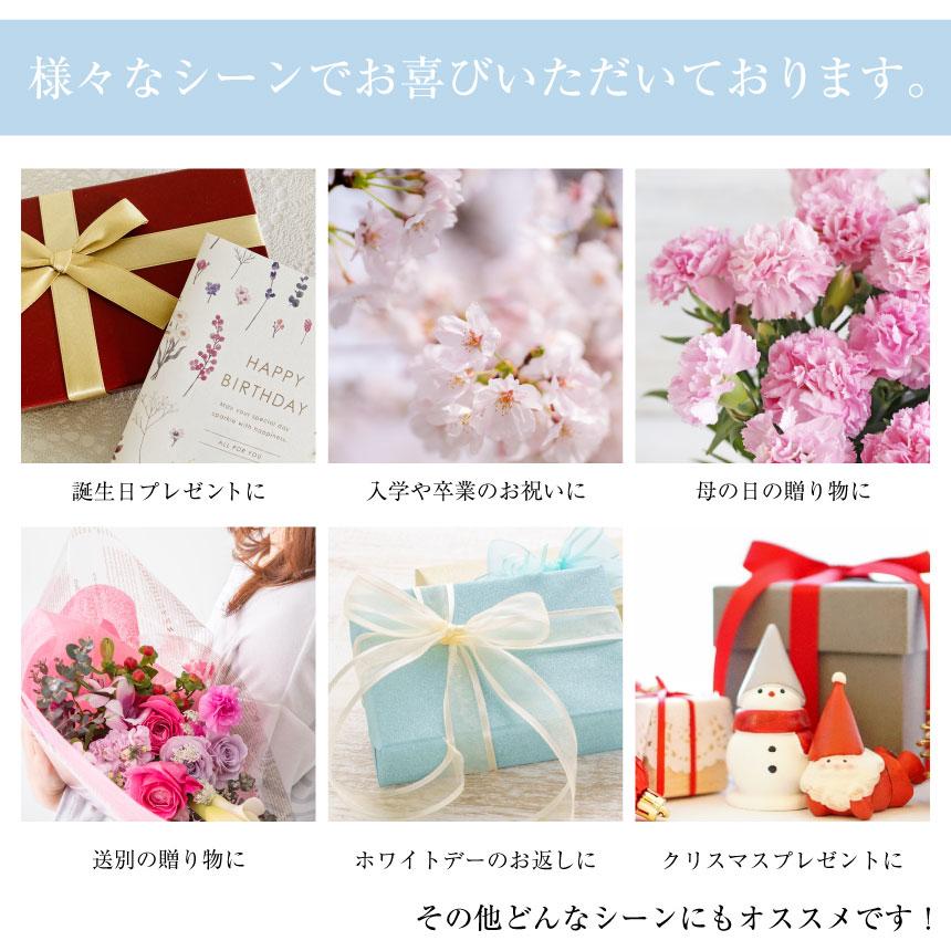 シアーズ Sears ネックレス クロス ハート ダイヤモンド 12月 タンザナイト テディベア パールホワイト （テディ：ホワイト/タンザナイト 12月） テディ：ホワイト/タンザナイト 12月