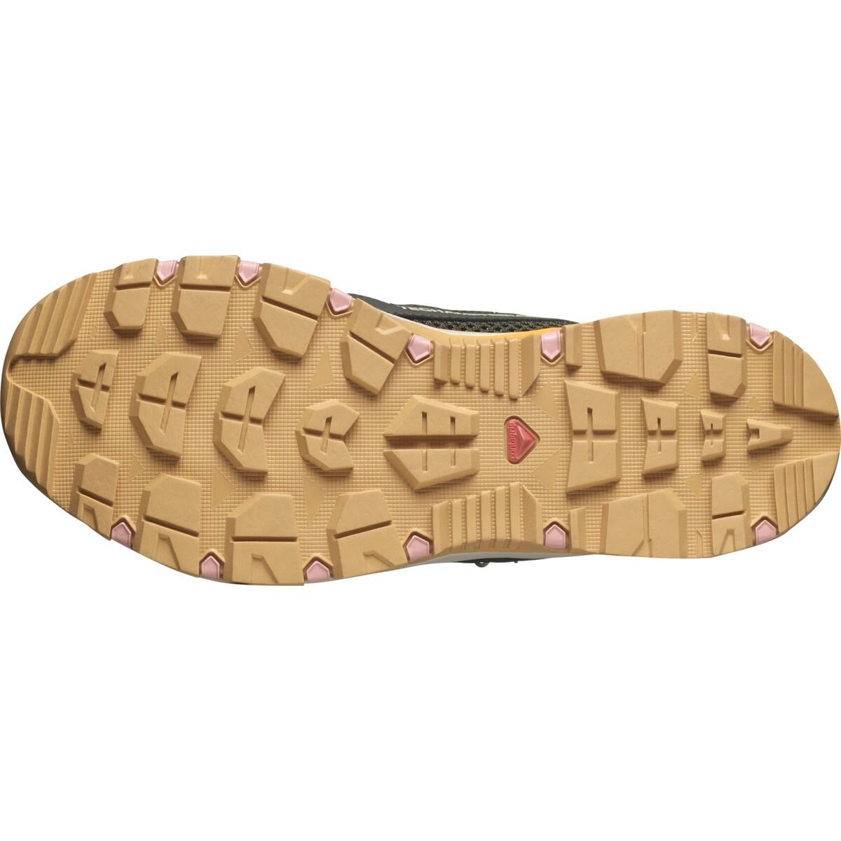 サロモン SALOMON Salomon TECHAMPHIBIAN 5 W（サロモン テック アンフィビアン 5） （Peat/Rainy Day/Hyma Pink） Peat/Rainy Day/Hyma Pink