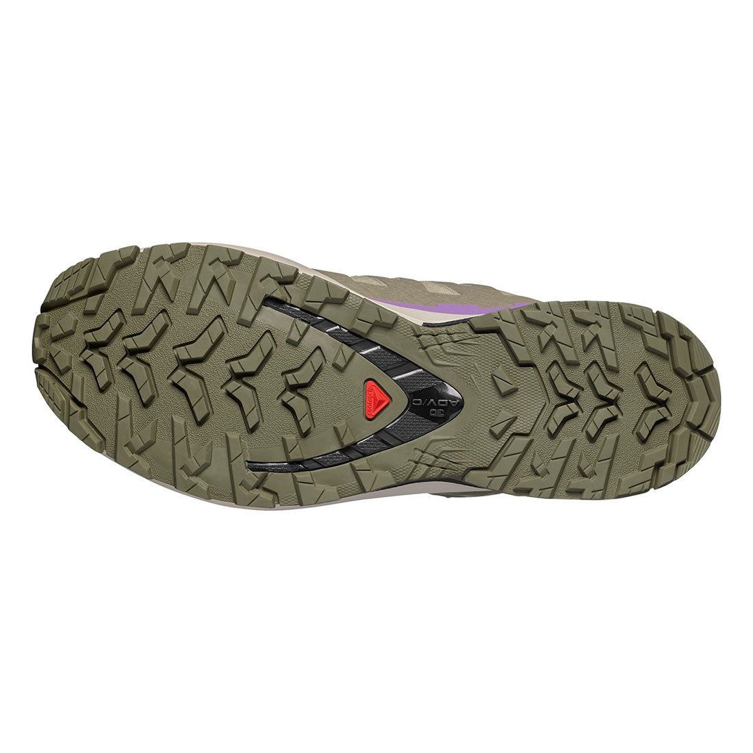 サロモン SALOMON エックスエー プロ スリーディー ブイナイン ゴアテックス（XA PRO 3D V9 GORE-TEX） （Bog / Aloe / Concord Grape） Bog / Aloe / Concord Grape