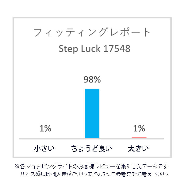 ステップラック Step Luck ナースシューズ メディカルシューズ オフィスシューズ ルームシューズ スリッポン スニーカー 上履き 抗菌 消臭 メンズ レディース sl17548