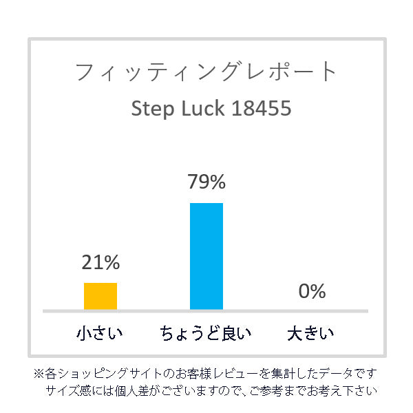 ステップラック Step Luck 転倒予防シューズ 介護シューズ ウォーキングシューズ リハビリシューズ 室内 屋外 sl_18455