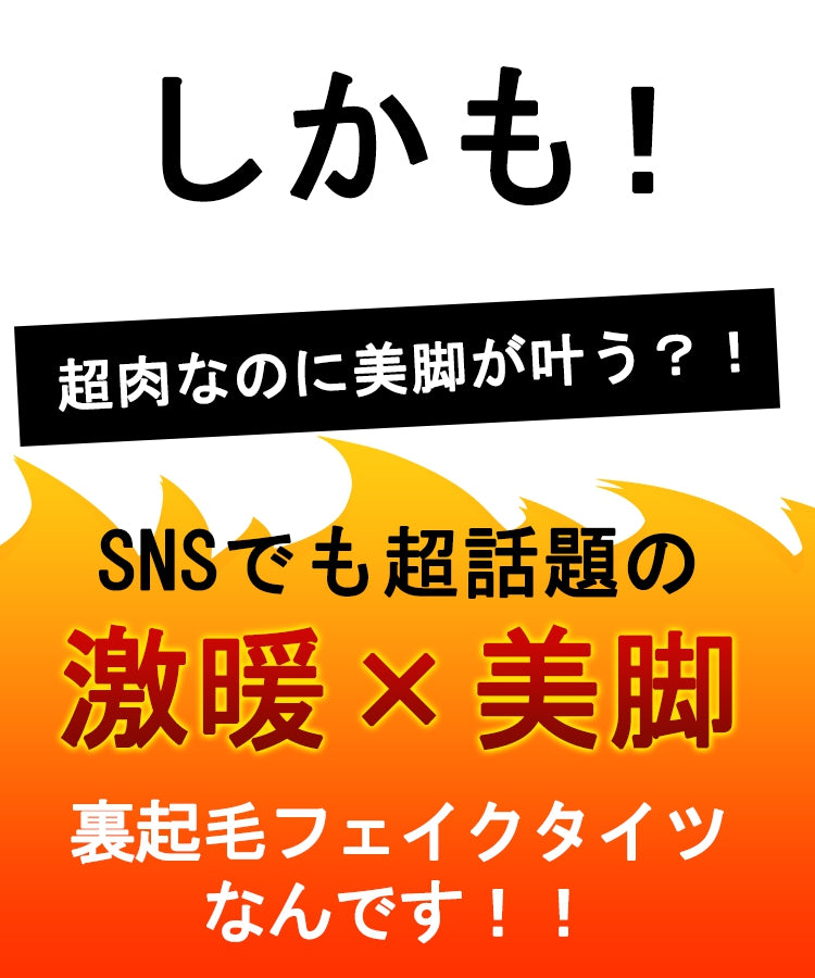エスイーユー SEU 【0℃15℃対応】【2TYPEから選べる裏起毛タイツorトレンカ】 透けて見える 防寒 美脚 （ブラック） ブラック