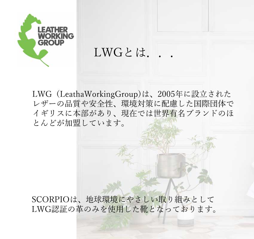 スコーピウス SCORPIUS 【SCORPIUS】 スコーピウス 厚底 レースアップ シューズ