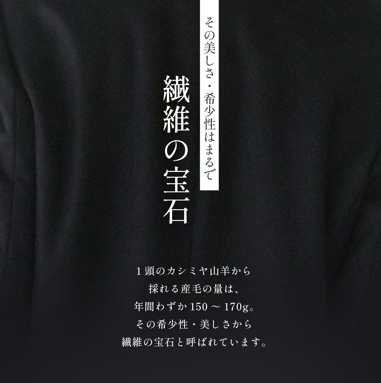 フィローモ Filomo [Filomo] カシミヤコート ノーカラー Aライン レディース （ブラック） ブラック
