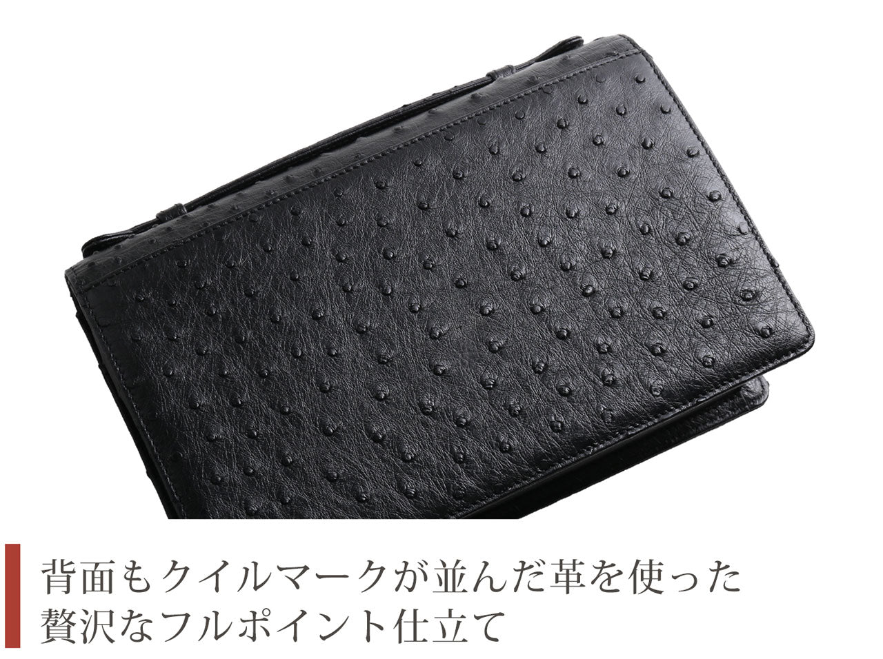 サンキョウショウカイ 三京商会 オーストリッチ メンズ セカンドバッグ ダイヤルロック式 （ブラック） ブラック