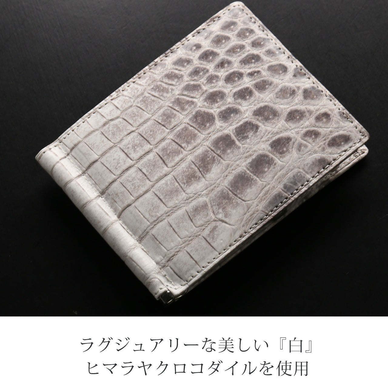 サンキョウショウカイ 三京商会 ヒマラヤクロコダイルレザー マネークリップ財布 （ヒマラヤ） ヒマラヤ