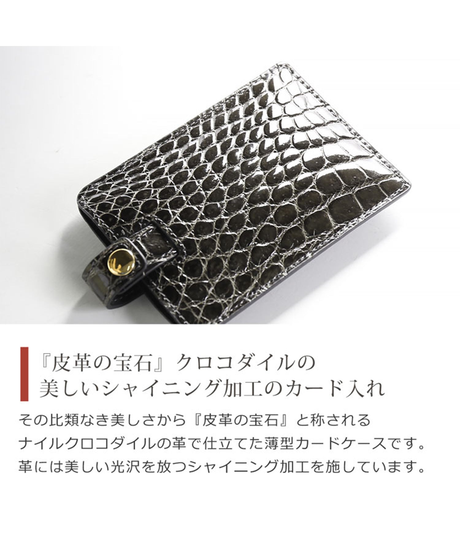 サンキョウショウカイ 三京商会 クロコダイルレザーカードケース＆名刺入れ
