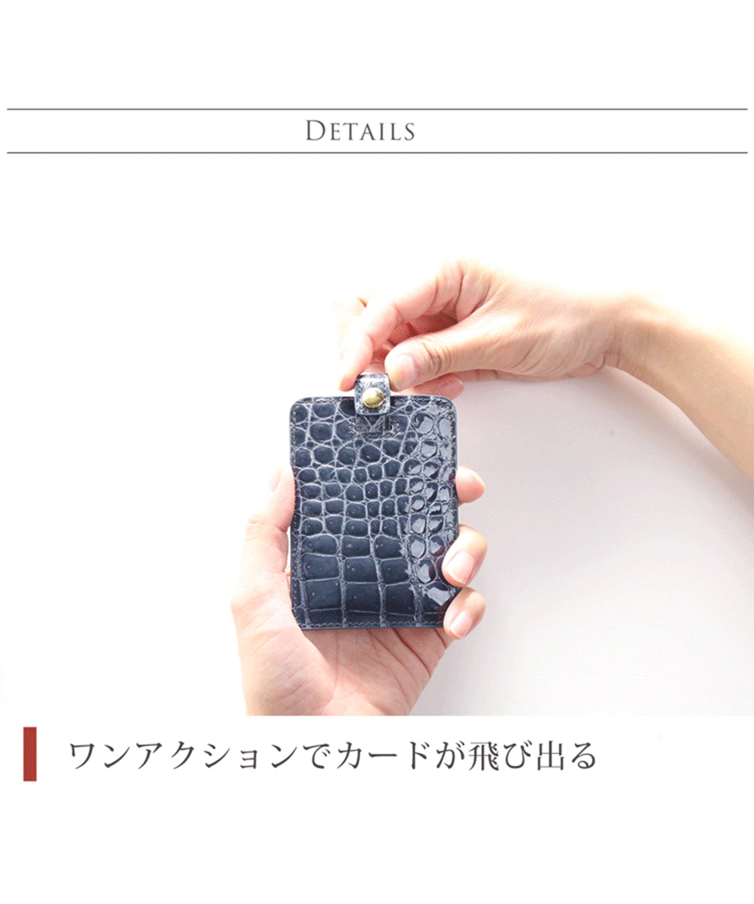 サンキョウショウカイ 三京商会 クロコダイルレザーカードケース＆名刺入れ