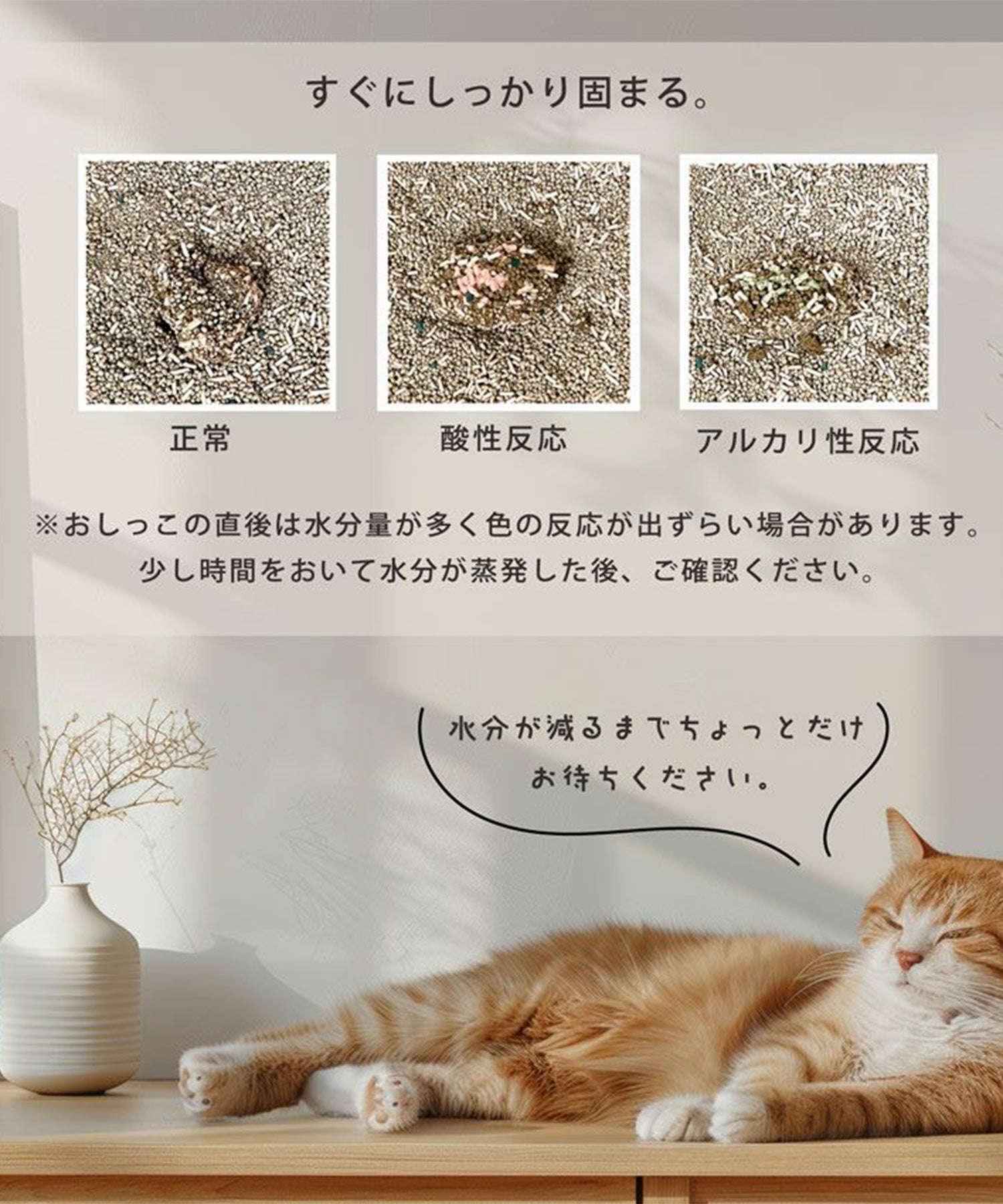 サンキョウショウカイ 三京商会 猫砂 健康チェック ベントナイト 天然素材 ph おしっこチェック 【返品不可商品】 （スナ） スナ