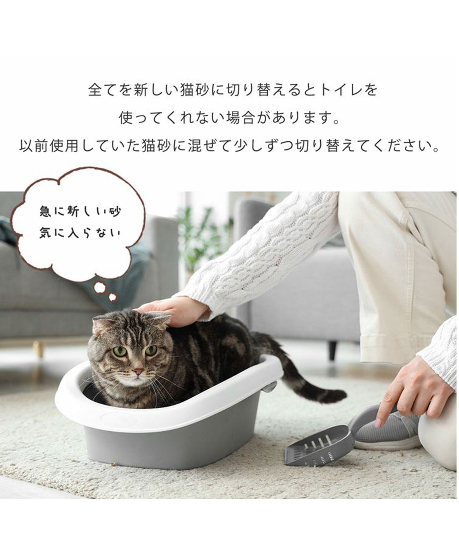 サンキョウショウカイ 三京商会 猫砂 健康チェック ベントナイト 天然素材 ph おしっこチェック 【返品不可商品】 （スナ） スナ
