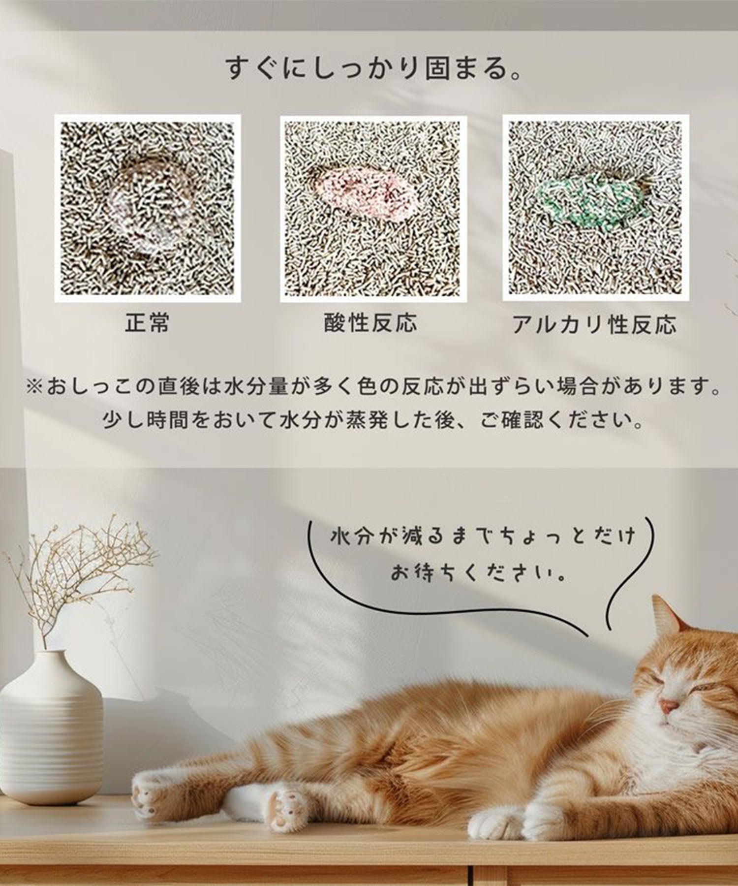 サンキョウショウカイ 三京商会 猫砂 健康チェック おから 天然素材 ph おしっこチェック 【返品不可商品】 （スナ） スナ