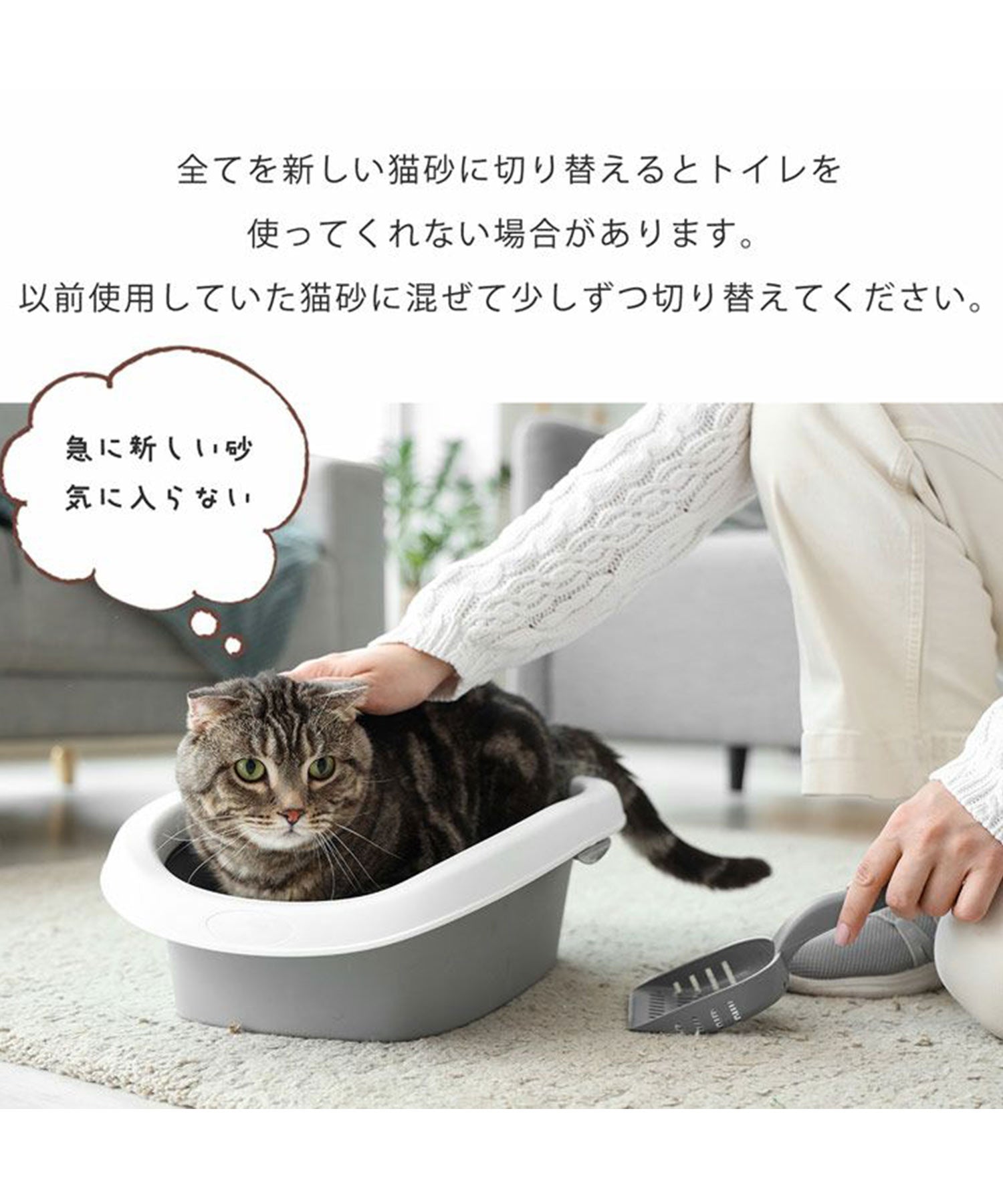サンキョウショウカイ 三京商会 猫砂 健康チェック おから 天然素材 ph おしっこチェック 【返品不可商品】 （スナ） スナ