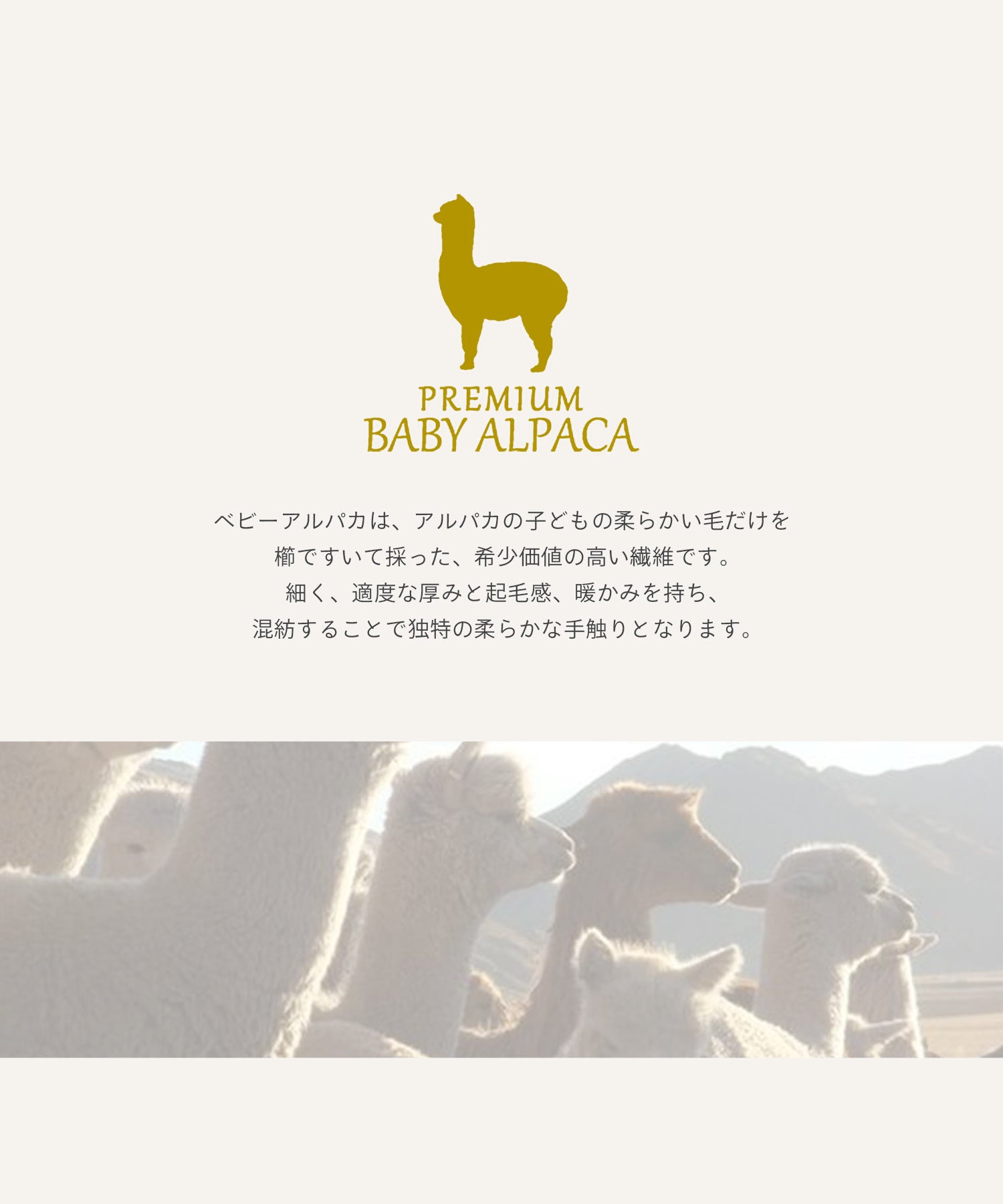 サンキョウショウカイ 三京商会 あったかベビーアルパカ & コットン腹巻日本製 （グレー） グレー