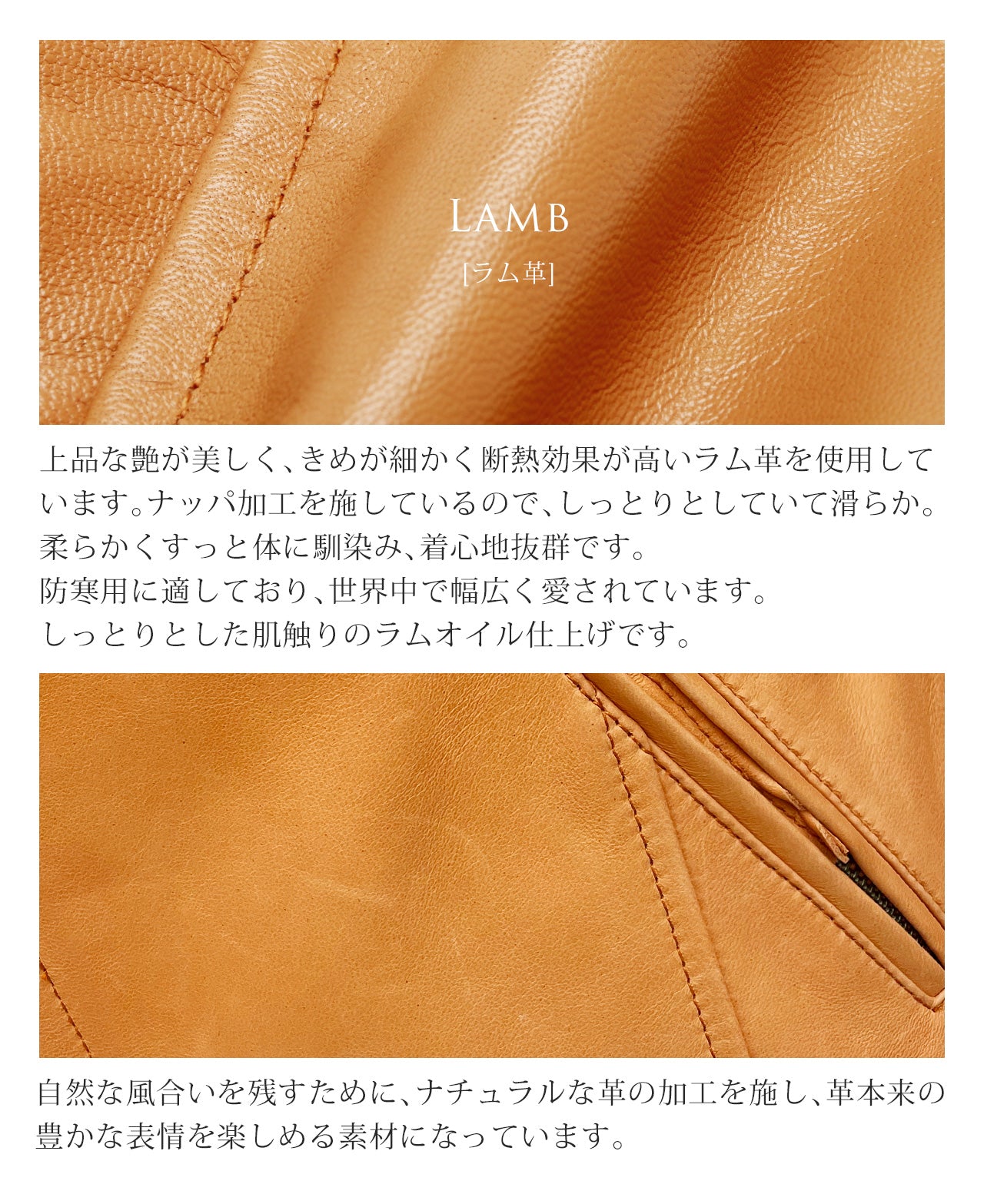 サンキョウショウカイ 三京商会 本革レザージャケット ノーカラー （ライトキャメル） ライトキャメル