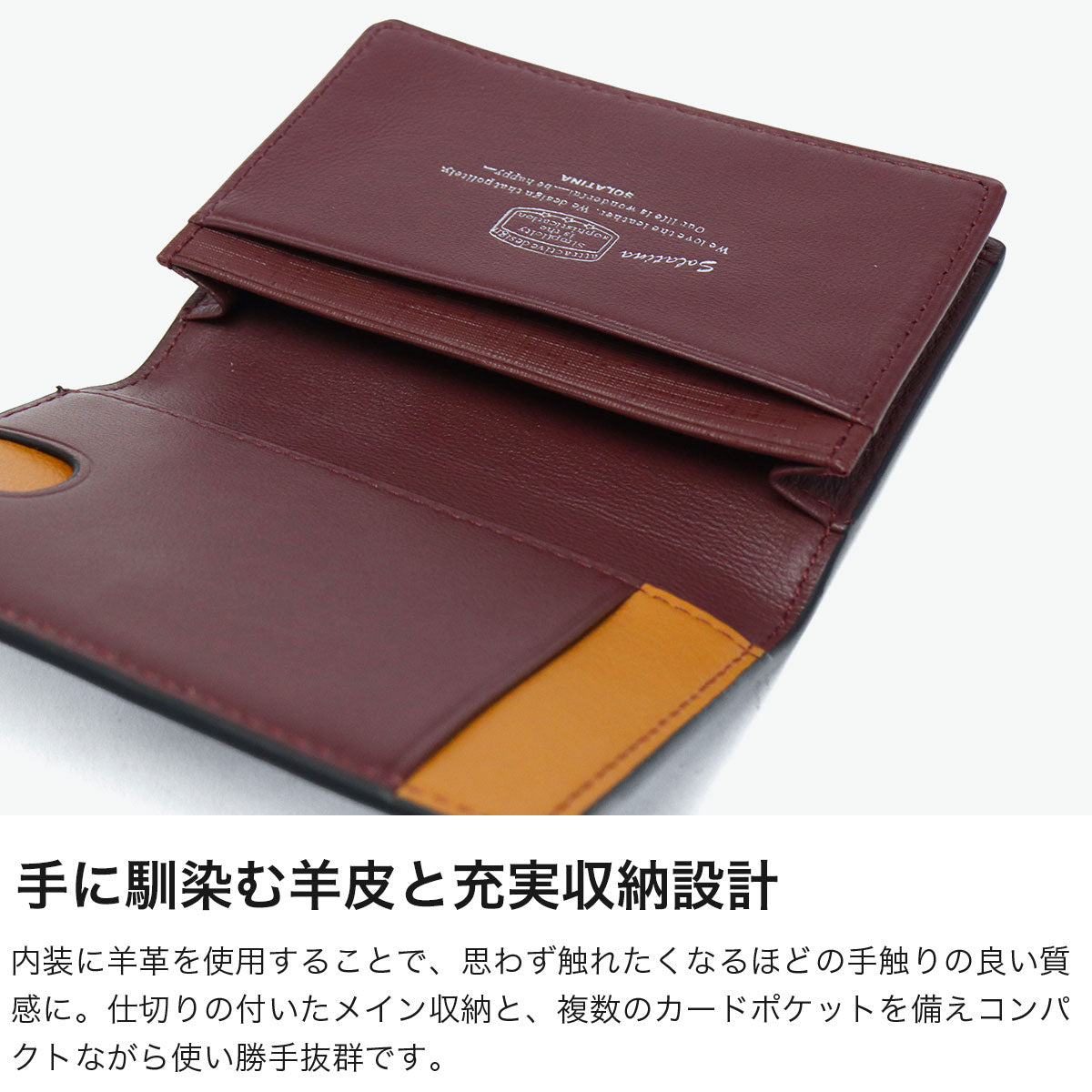 ソラチナ SOLATINA カードケース メンズ レディース 本革 ブランド 薄型 スリム おしゃれ 高級感 牛革 プレゼント 上品 ギフト 無地 パスケース付き College series SW-39604 （BLACK） BLACK