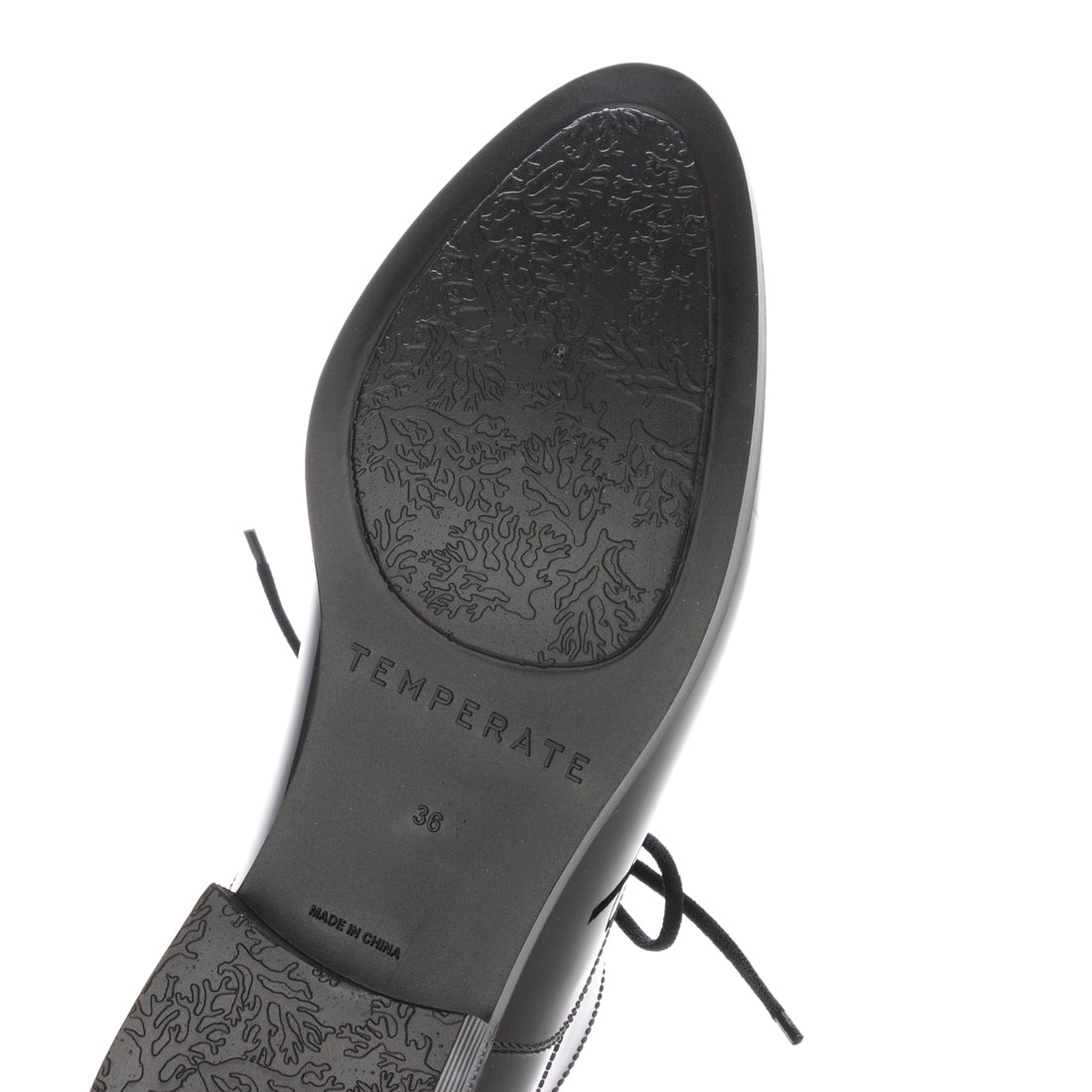 テンパレイト TEMPERATE OSTERA