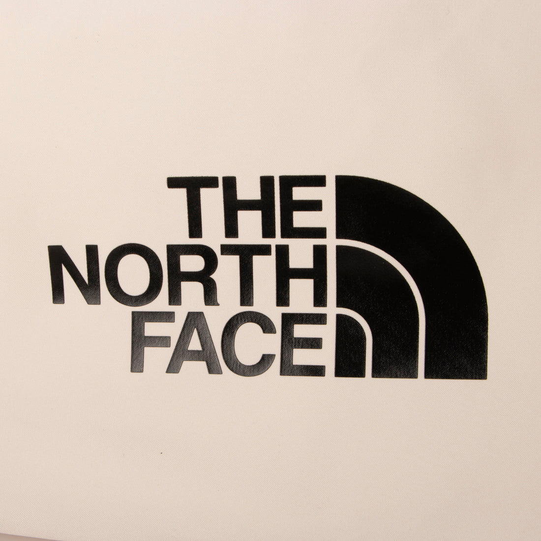 ザ・ノース・フェイス THE NORTH FACE BIG LOGO SHOULDER BAG ビッグ ロゴ ショルダー バッグトートバッグ （ホワイト） ホワイト