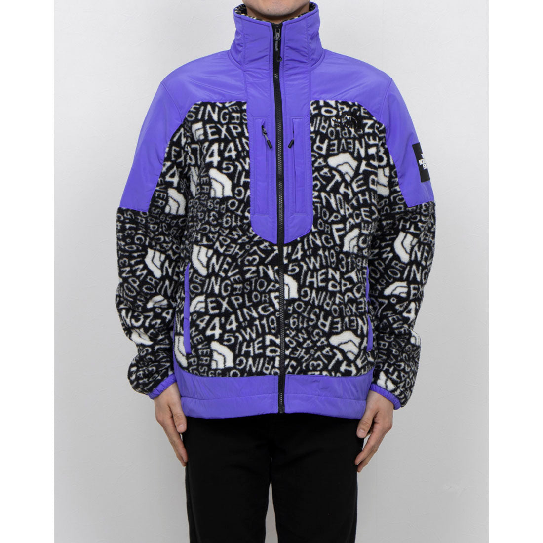 THE NORTH FACE M FLEESKI Y2K FZ JACKET