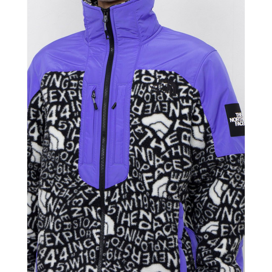 THE NORTH FACE M FLEESKI Y2K FZ JACKET
