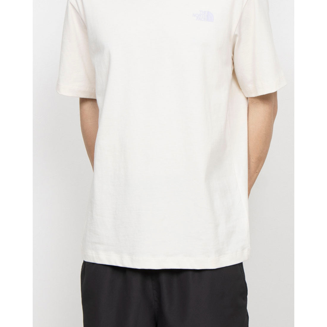ザ・ノース・フェイス THE NORTH FACE THE NORTH FACE ザ ノースフェイス グラフィックTEE 半袖 Tシャツ RLX VDAY S/S TEE GRAPHIC （(QLI)ホワイトデューン） (QLI)ホワイトデューン