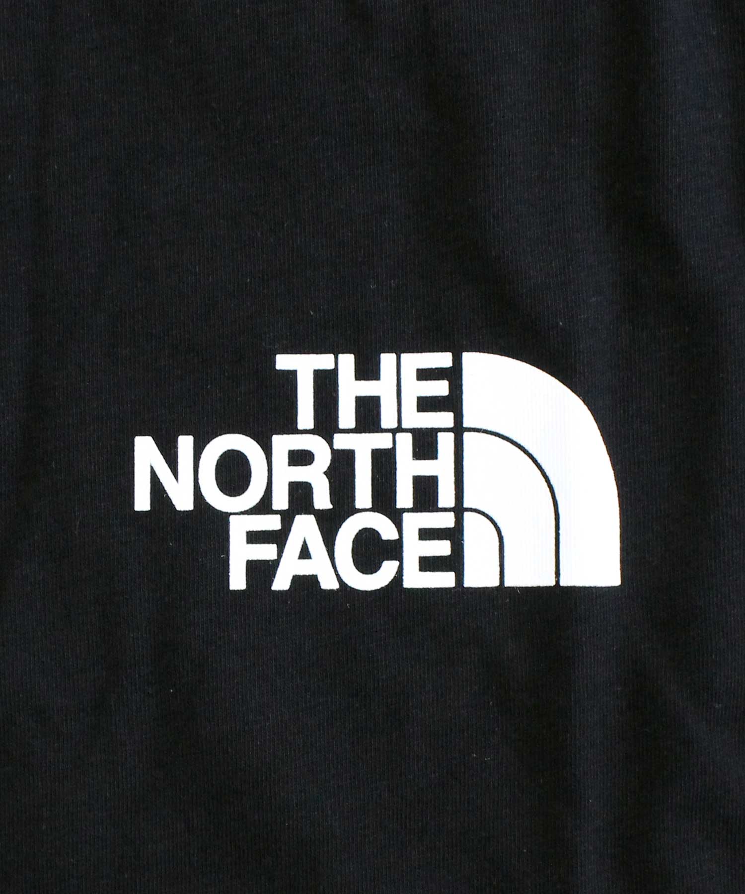 ザ・ノース・フェイス THE NORTH FACE TNF スリーブロゴ グラフィックTシャツ M LS HIT GRAPHIC TEE 長袖Tシャツ ロングTシャツ ロンT 長袖トップス メンズ 人気 ブランド （1-ホワイト） 1-ホワイト