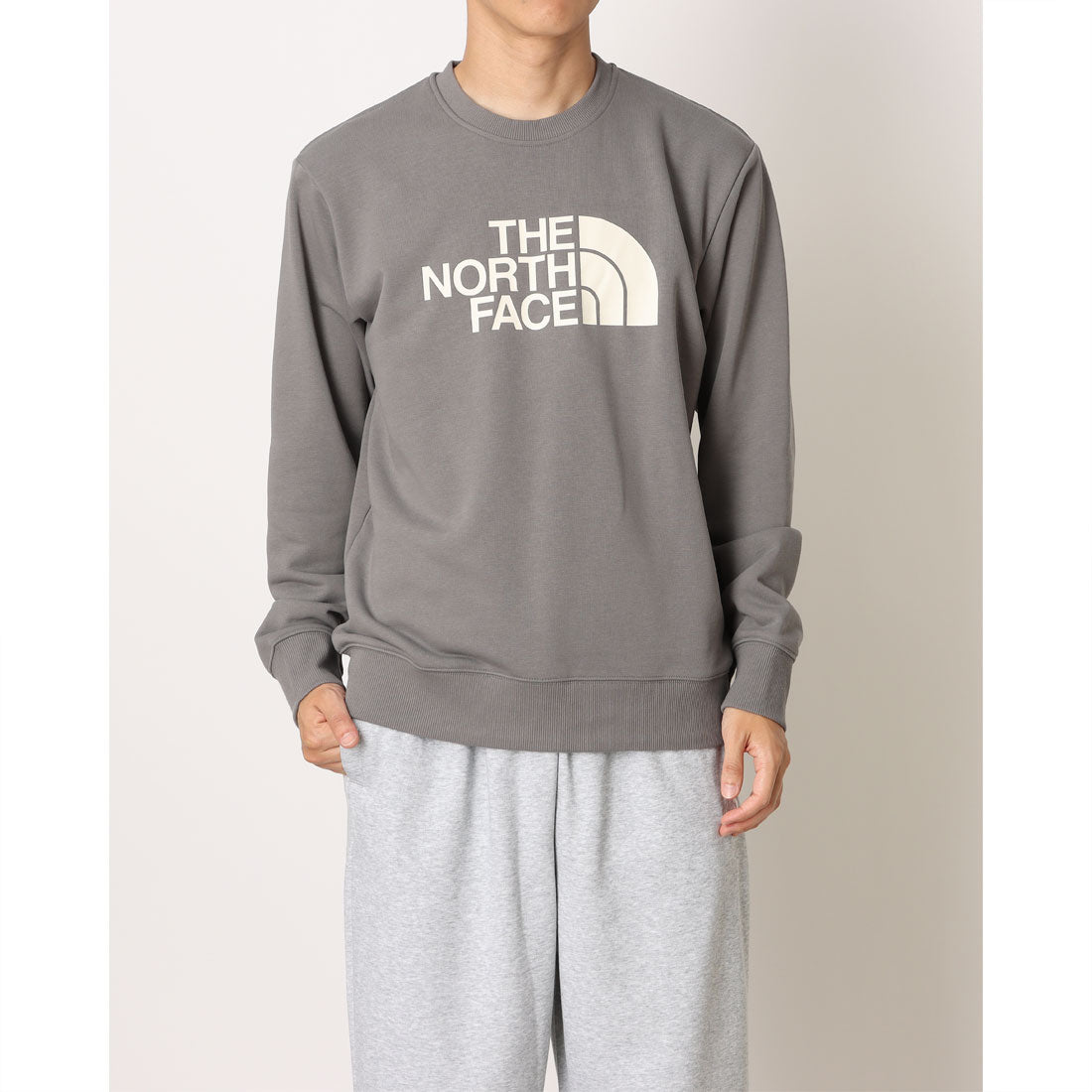 ザ・ノース・フェイス THE NORTH FACE THE NORTH FACE TNF ESSENTIAL CREW ノースフェイス スウェット メンズ クルーネック エッセンシャル トレーナー （(0UZ)SMOKED PEARL） (0UZ)SMOKED PEARL