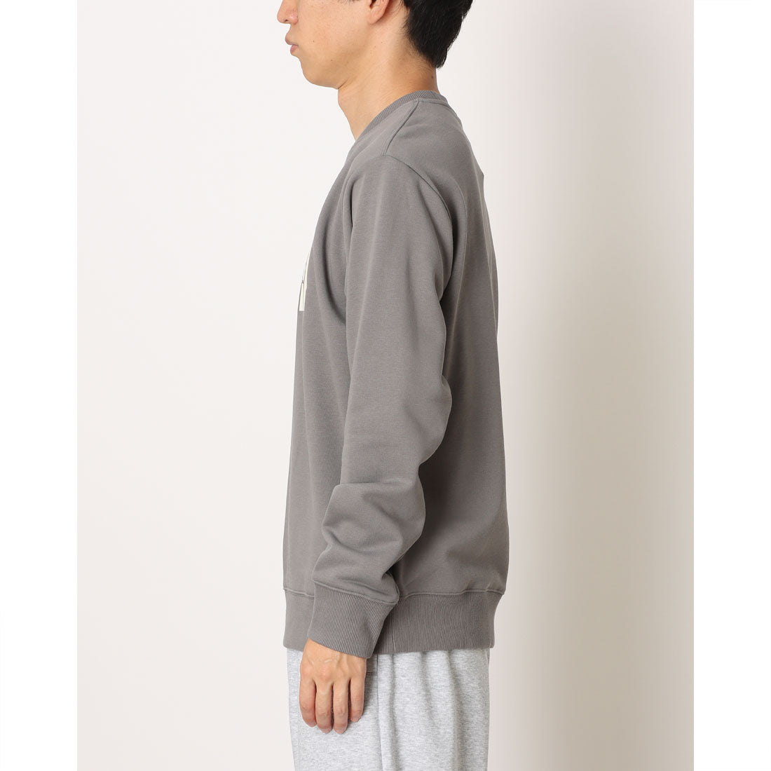 ザ・ノース・フェイス THE NORTH FACE THE NORTH FACE TNF ESSENTIAL CREW ノースフェイス スウェット メンズ クルーネック エッセンシャル トレーナー （(0UZ)SMOKED PEARL） (0UZ)SMOKED PEARL