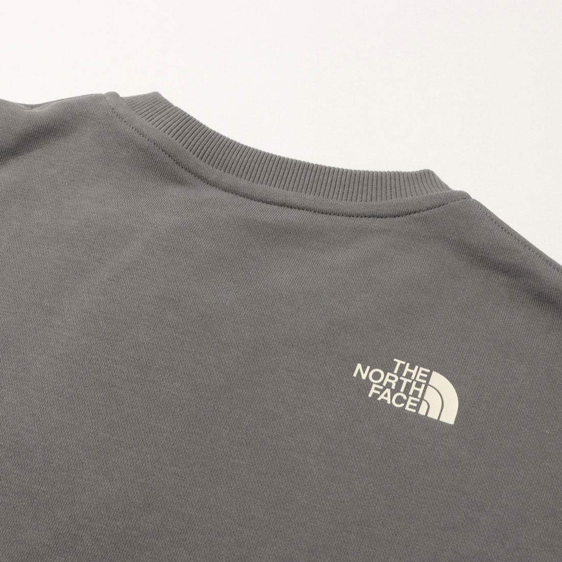 ザ・ノース・フェイス THE NORTH FACE THE NORTH FACE TNF ESSENTIAL CREW ノースフェイス スウェット メンズ クルーネック エッセンシャル トレーナー （(0UZ)SMOKED PEARL） (0UZ)SMOKED PEARL