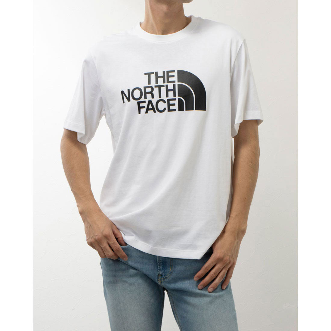 ザ ノース フェイス THE NORTH FACE HALF DOME TEE （(FN4)ホワイト） (FN4)ホワイト
