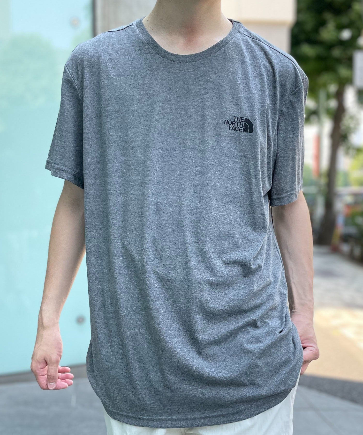 ザ・ノース・フェイス THE NORTH FACE ワンポイント ロゴ Tシャツ 半袖 カットソー SIMPLE DOME TEE NF0A2TX5