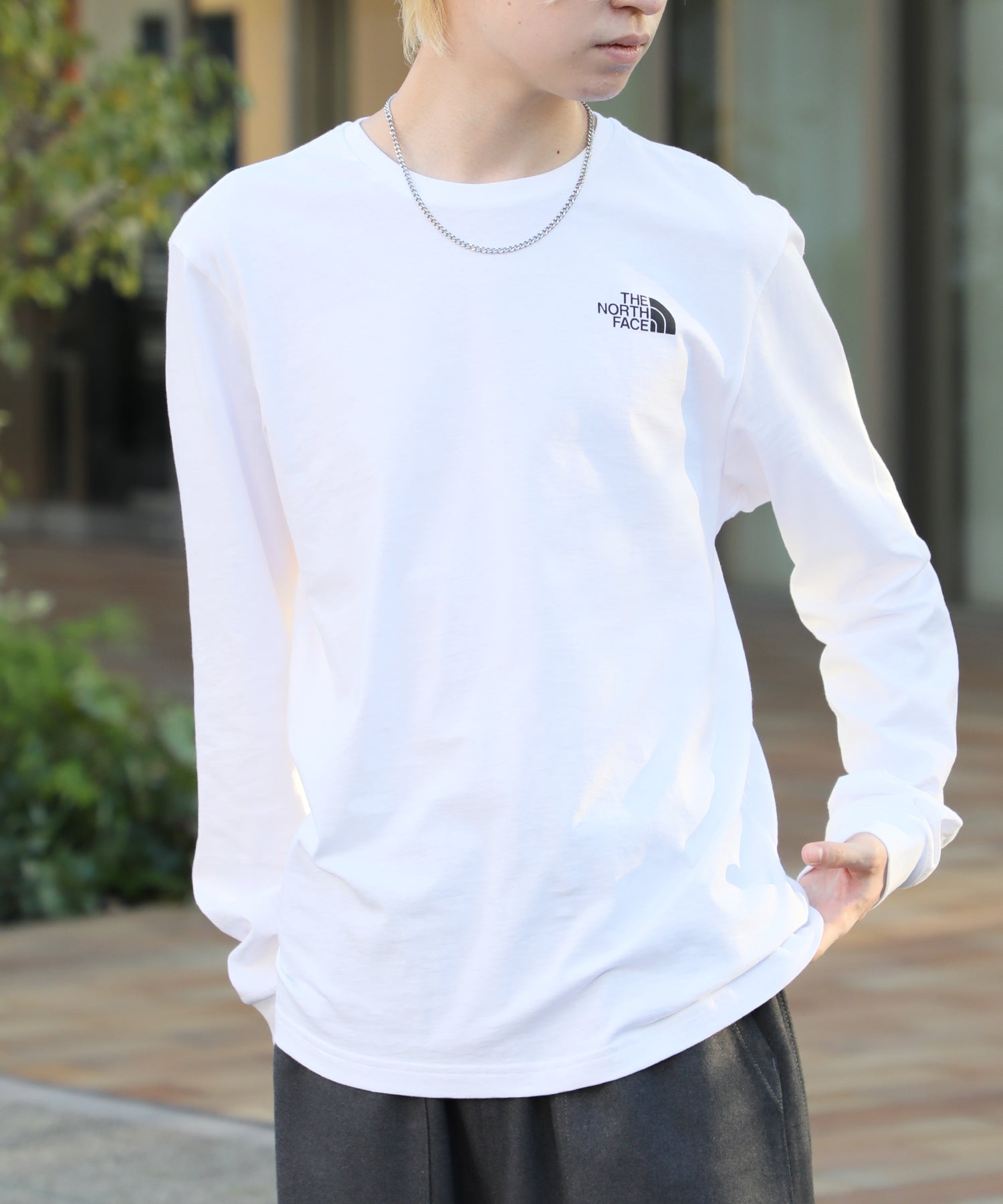 ザ・ノース・フェイス THE NORTH FACE 【THE NORTH FACE / ザ・ノースフェイス】DOME TEE ドームロゴ クルーネック ロンT 長袖 カットソー NF0A3L3B,ホワイト