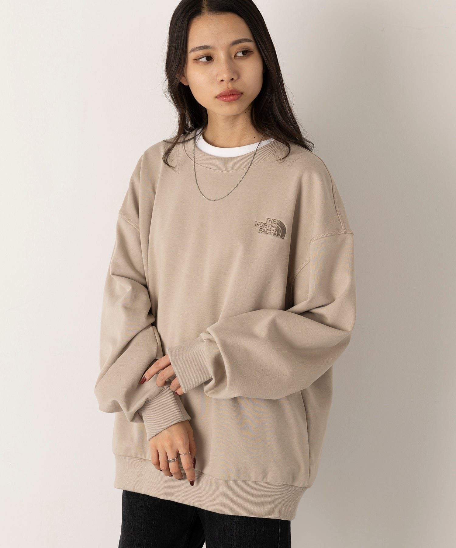THE NORTH FACE GO TO SWEATSHIRTS NM5MQ54M Sweat Trainer Korea White Label Not Released in Japan