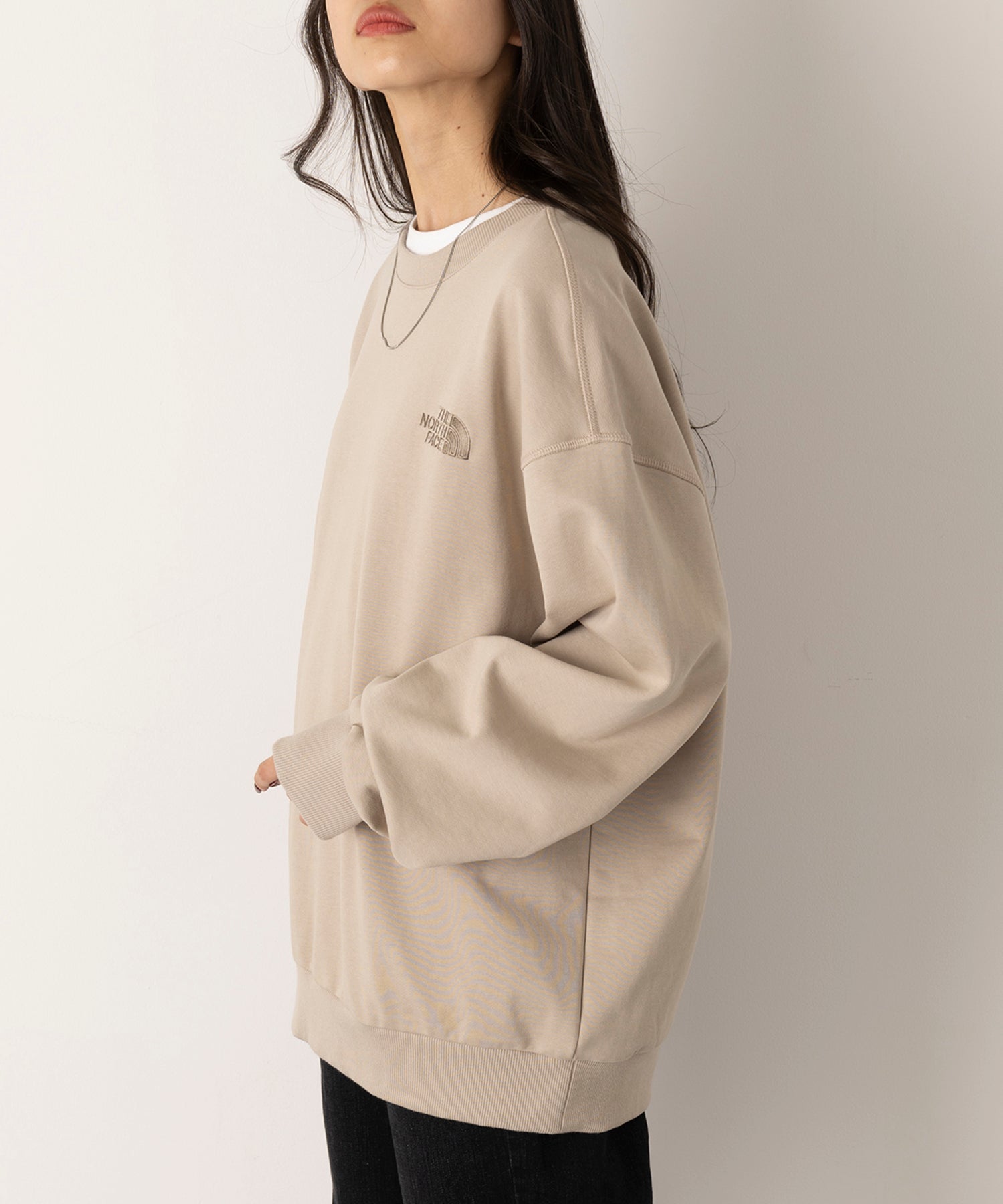 THE NORTH FACE GO TO SWEATSHIRTS NM5MQ54M Sweat Trainer Korea White Label Not Released in Japan