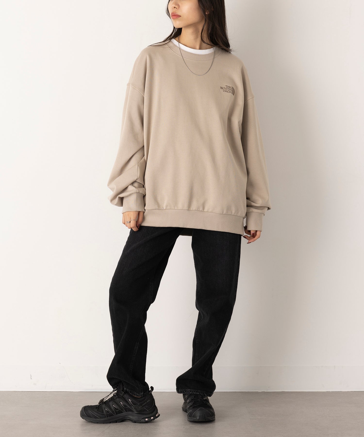 THE NORTH FACE GO TO SWEATSHIRTS NM5MQ54M Sweat Trainer Korea White Label Not Released in Japan