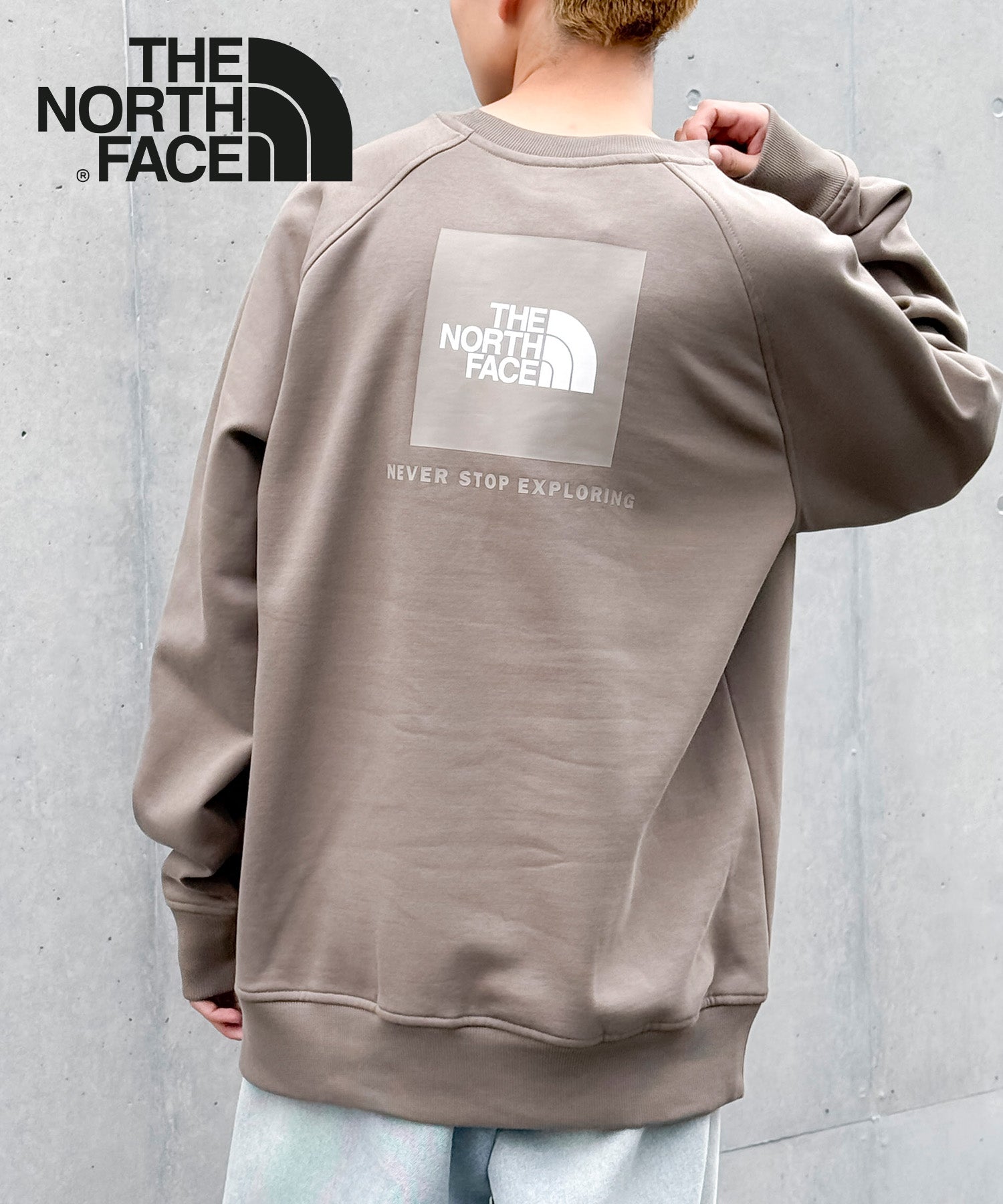 ザ・ノース・フェイス THE NORTH FACE REDBOX CREW レッドボックス トップス トレーナー スウェット プルオーバー ロゴ 長袖 （ブラウン） ブラウン